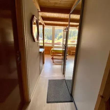 Super Lioran - Entierement Equipe Appartement