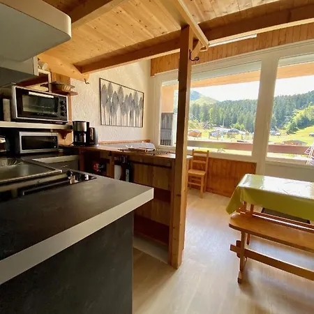 Super Lioran - Entierement Equipe Appartement Laveissière